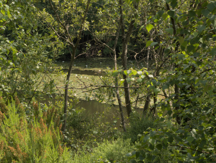 Brickwork Lakes