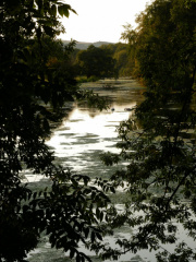 Walcott Pool