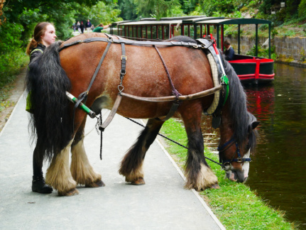 On the canal at Llangollen