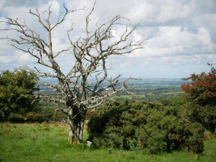 On a walk from Waunfawr
