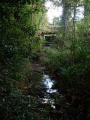 Hiltingbury lakes